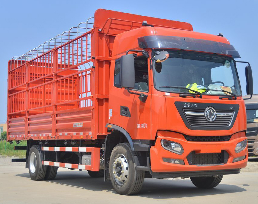 DONGFENG _1 DONGFENG _1