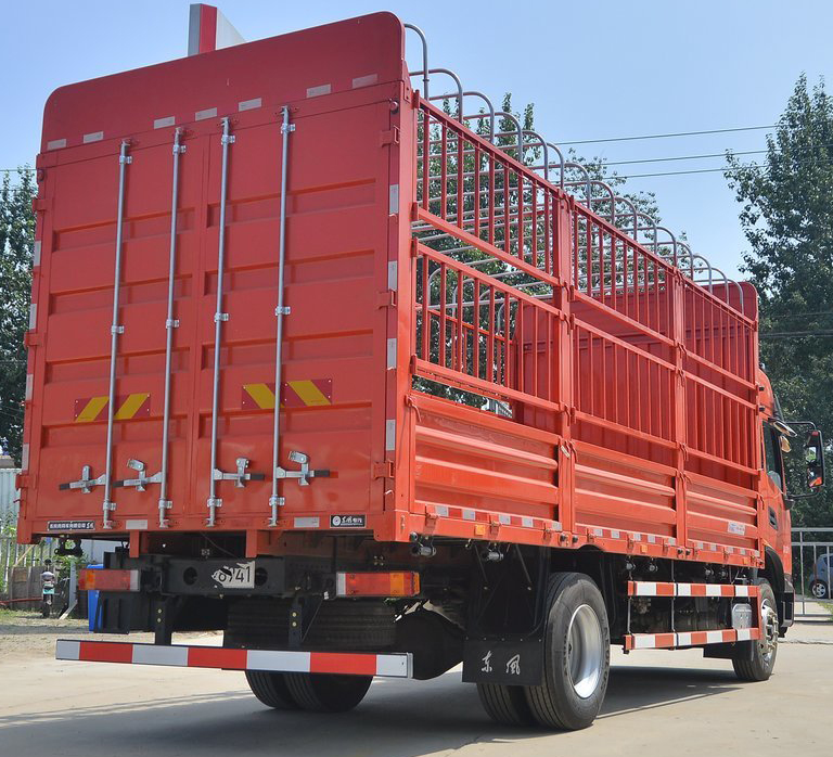 DONGFENG _6 DONGFENG _6